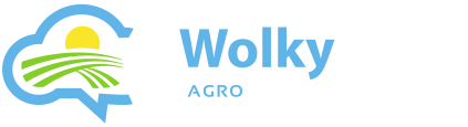 WolkyTolky logo